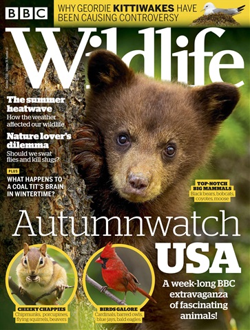BBC Wildlife Magazine issue October 18