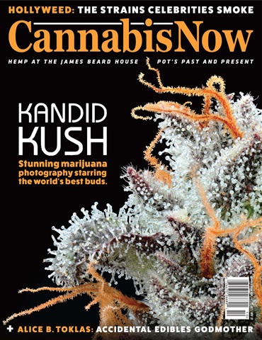 Issue 39 issue Issue 39
