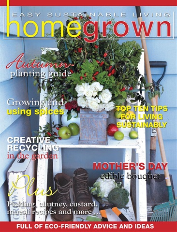 Issue 7 issue Issue 7