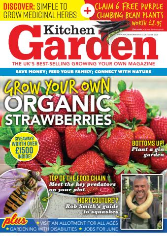 June 2024 issue June 2024