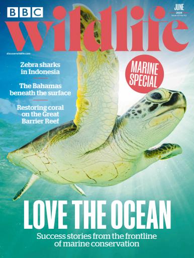 BBC Wildlife Magazine issue 