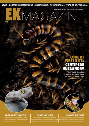 June 2024 issue June 2024