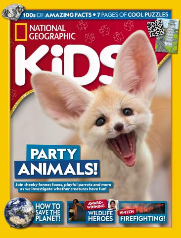 Issue 231 issue Issue 231