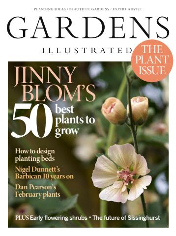 Feb 2025 issue Feb 2025
