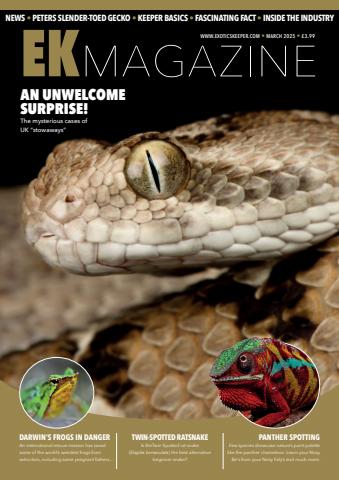 March 2025 issue March 2025