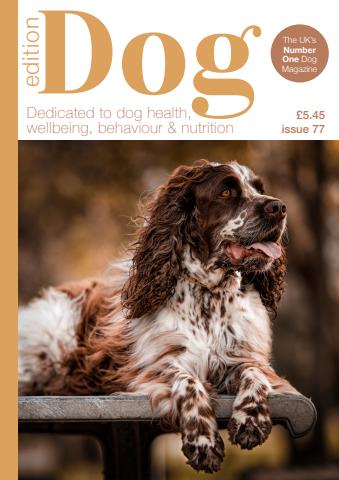 Edition Dog 77 issue Edition Dog 77