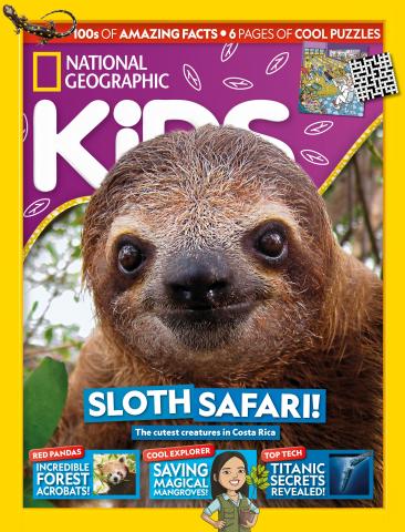 Issue 241 issue Issue 241