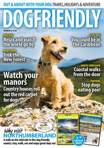 Dog Friendly issue Mar-Apr 25