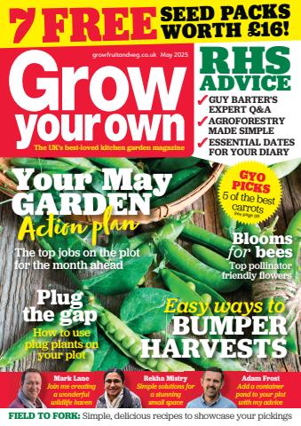 May-25 issue May-25
