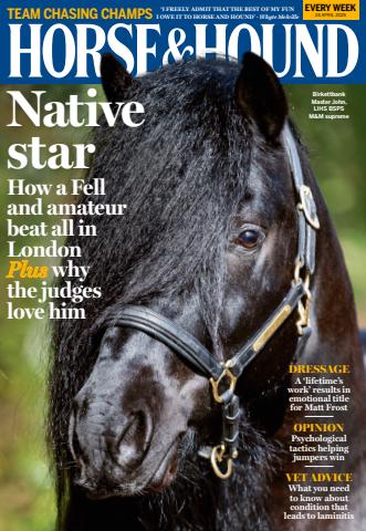 24 Apr 2025 issue 24 Apr 2025