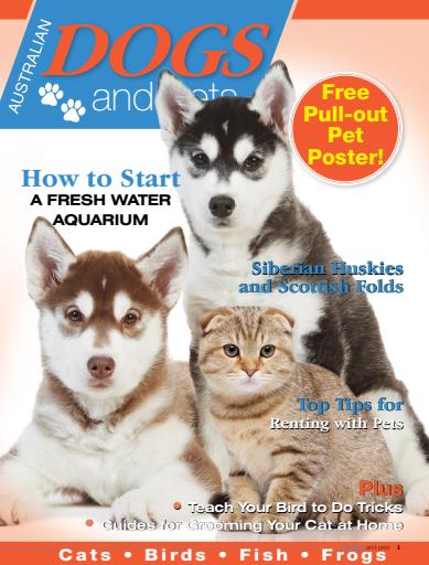 Dogs and Pets issue 