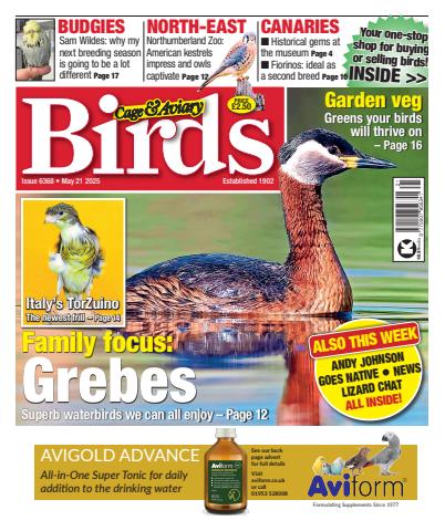 Cage & Aviary Birds issue 21st May 2025