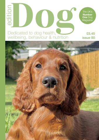 Edition Dog issue Edition Dog 80