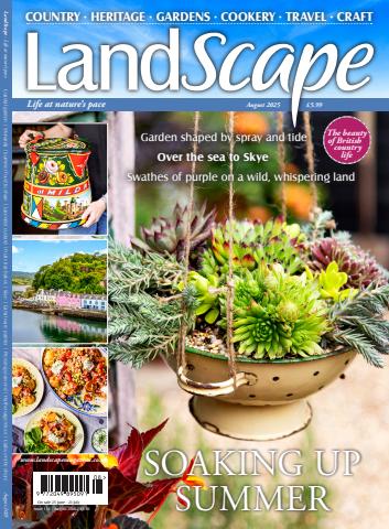 LandScape issue Aug-25