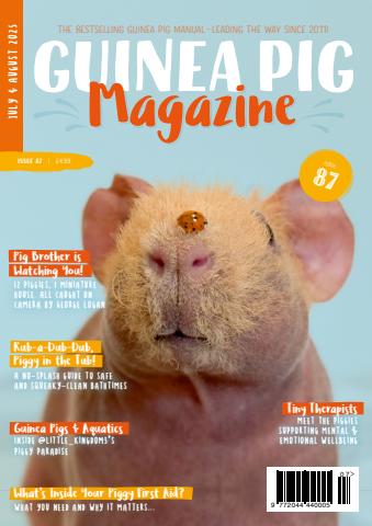 Guinea Pig Magazine issue Issue 87 (July/Aug)